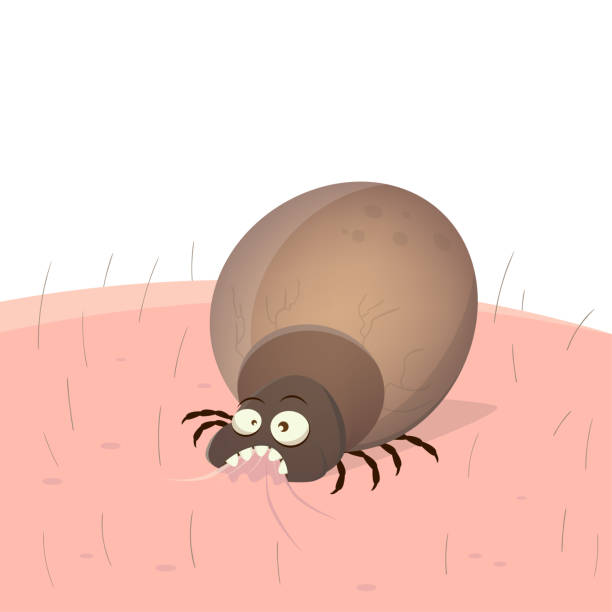 Tyrophagus putrescentiae