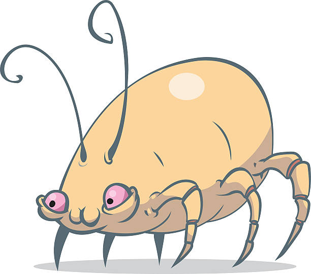 Dermatophagoides pteronyssinus
