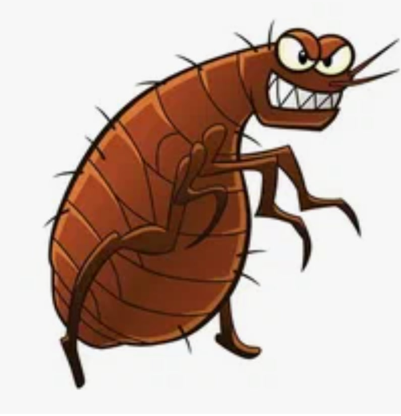 Lepidoglyphus destructor (d71)