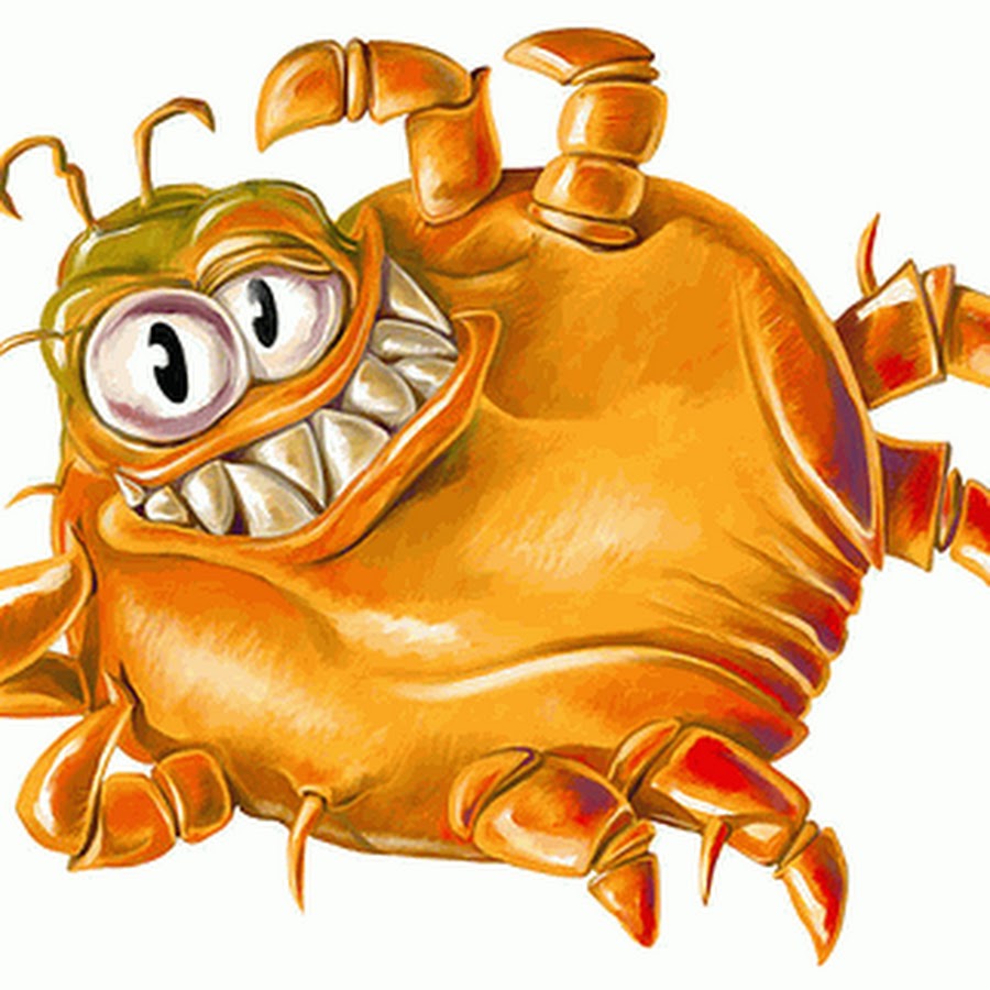 Dermatophagoides farinae